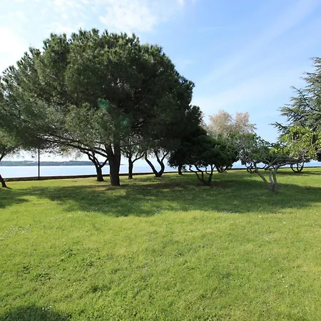Riky Ap4 - Few Steps From The Novigrad (Istria)