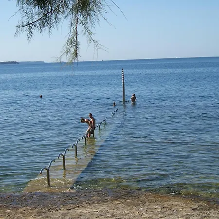 Riky Ap4 - Few Steps From The Apartman *