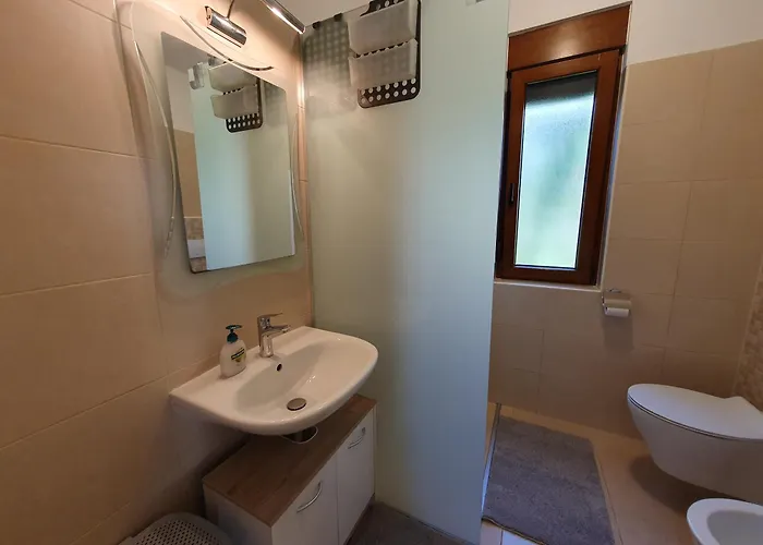 Riky Ap4 - Few Steps From The Novigrad Istria